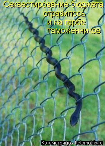 Котоматрица: Секвестирование бюджета отразилось и на гербе таможенников