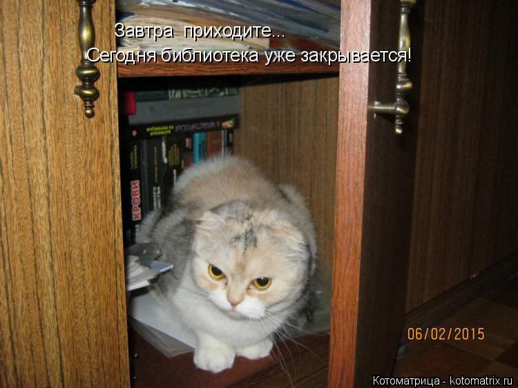 Котоматрица: Завтра  приходите... Сегодня библиотека уже закрывается!