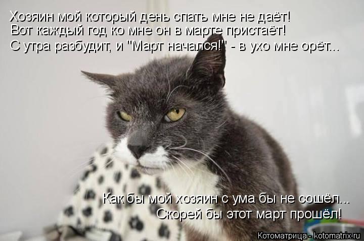 Хозяин мой который день спать мне не даёт! Вот каждый год ко мне он в марте пристаёт! С утра разбудит... Котоматрица: Хозяин мой который день спать мне не даёт! Вот каждый год ко мне он в марте пристаёт! С утра разбудит, и "Март начался!" - в ухо мне орёт... Как бы