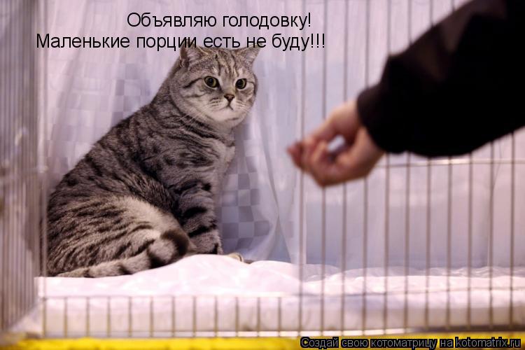 Котоматрица: Объявляю голодовку!  Маленькие порции есть не буду!!!