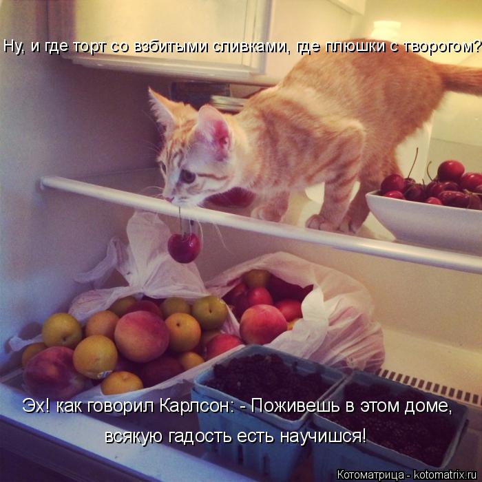 Эх! как говорил Карлсон: - Поживешь в этом доме, всякую гадость есть научишся! Ну, и где торт со взби... Котоматрица: Эх! как говорил Карлсон: - Поживешь в этом доме, всякую гадость есть научишся! Ну, и где торт со взбитыми сливками, где плюшки с творогом?