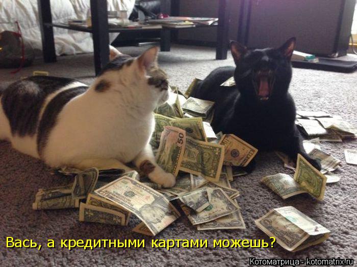 Вась, а кредитными картами можешь?... Котоматрица: Вась, а кредитными картами можешь?