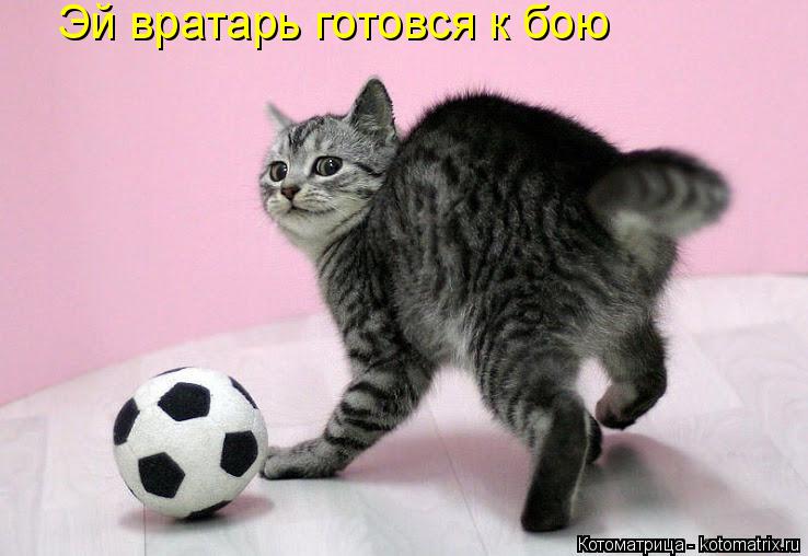 Котоматрица: Эй вратарь готовся к бою