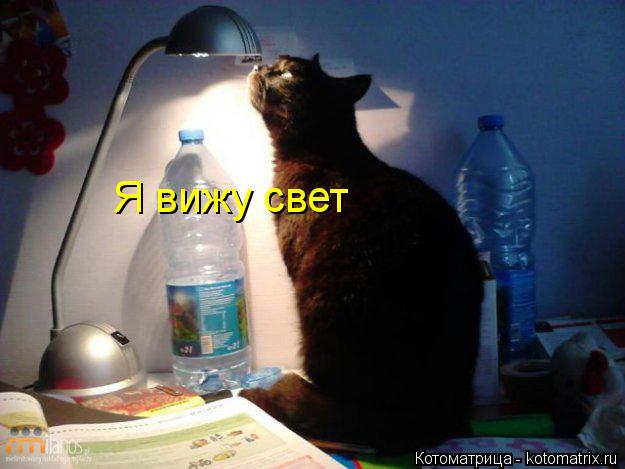Котоматрица: Я вижу свет