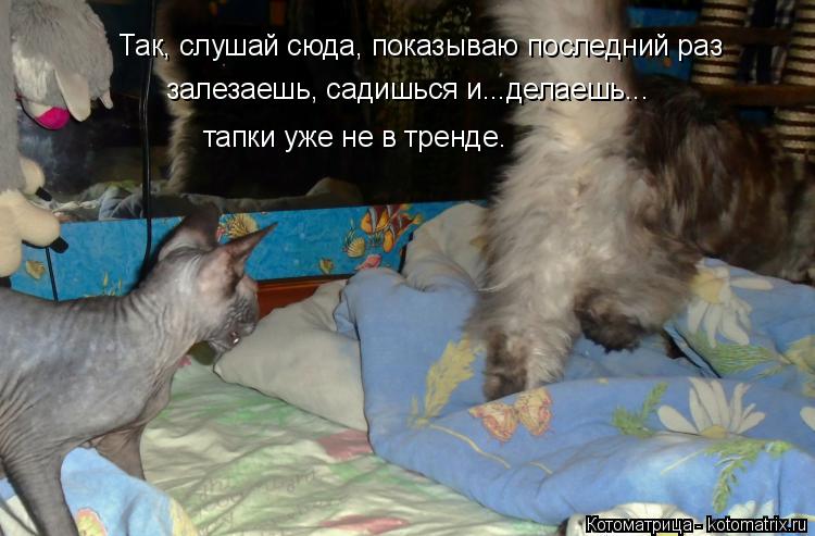 Котоматрица: Так, слушай сюда, показываю последний раз залезаешь, садишься и...делаешь... тапки уже не в тренде.