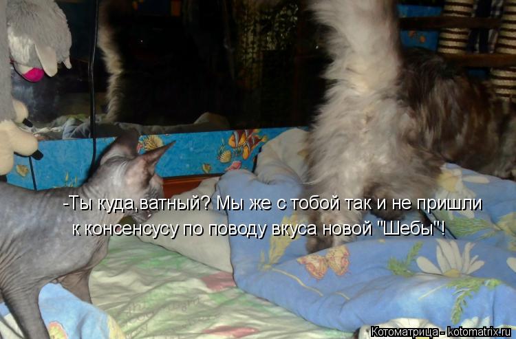 Котоматрица: -Ты куда,ватный? Мы же с тобой так и не пришли  к консенсусу по поводу вкуса новой "Шебы"!