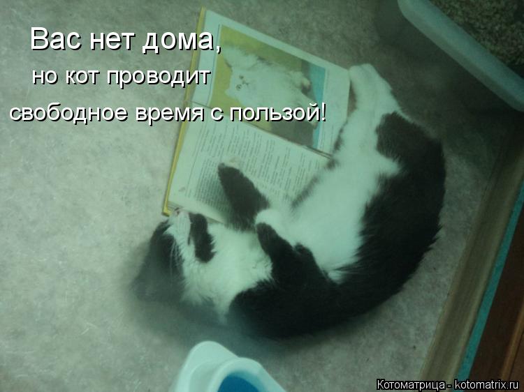Котоматрица: Вас нет дома, но кот проводит  свободное время с пользой!
