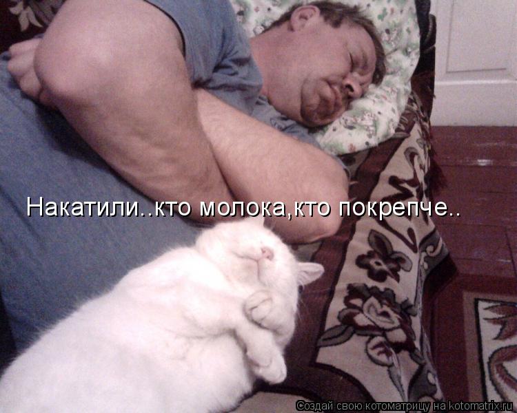 Котоматрица: Накатили..кто молока,кто покрепче..