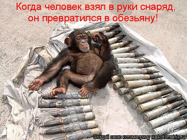 Котоматрица: Когда человек взял в руки снаряд, он превратился в обезьяну!