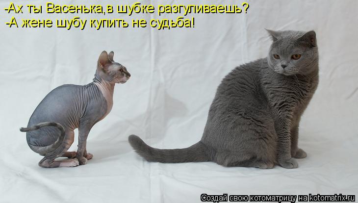 -Ах ты Васенька,в шубке разгуливаешь? -А жене шубу купить не судьба!... Котоматрица: -Ах ты Васенька,в шубке разгуливаешь? -А жене шубу купить не судьба!