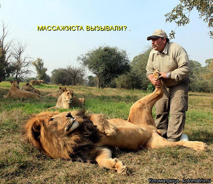 Котоматрица: МАССАЖИСТА ВЫЗЫВАЛИ? .