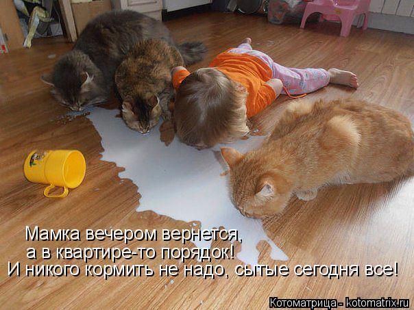 Котоматрица: И никого кормить не надо, сытые сегодня все! а в квартире-то порядок! Мамка вечером вернется,