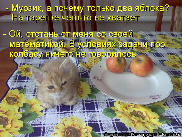 Котоматрица: - Мурзик, а почему только два яблока? - Ой, отстань от меня со своей  математикой. В условиях задачи про колбасу ничего не говорилось На тарелк