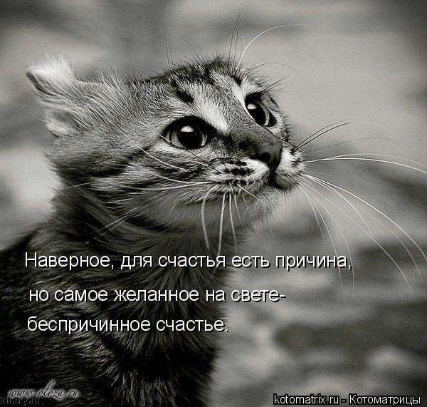 Котоматрица: Наверное, для счастья есть причина, но самое желанное на свете- беспричинное счастье.