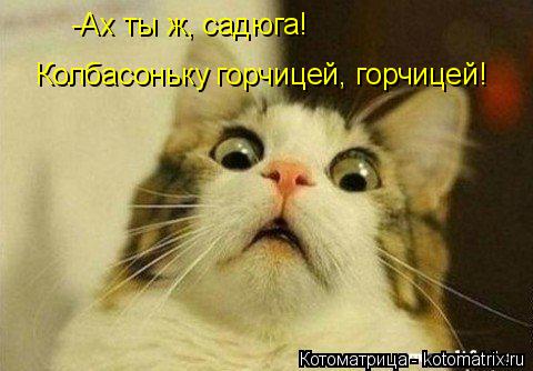 Котоматрица: -Ах ты ж, садюга! Колбасоньку горчицей, горчицей!