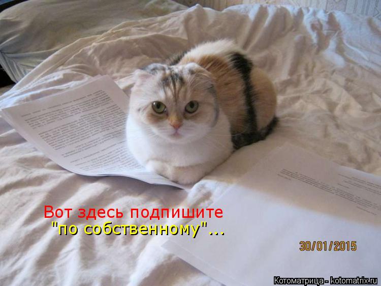 Котоматрица: Вот здесь подпишите "по собственному"...