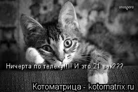 Котоматрица: Ничерта по телеку!!!! И это 21 век???