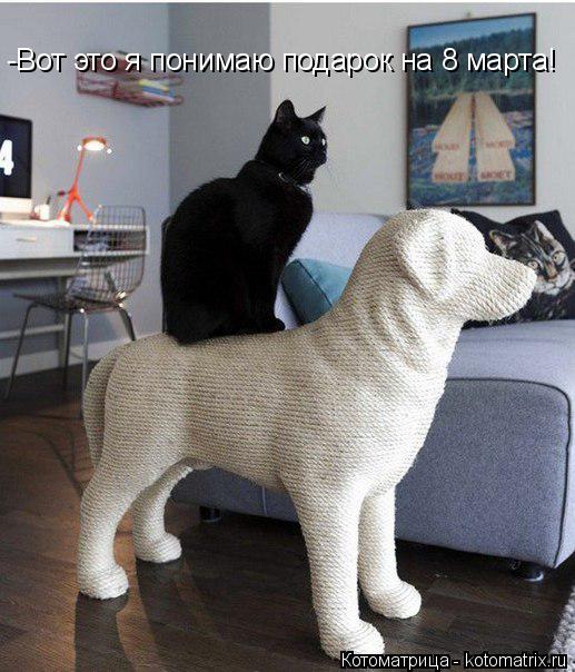 Котоматрица: -Вот это я понимаю подарок на 8 марта!