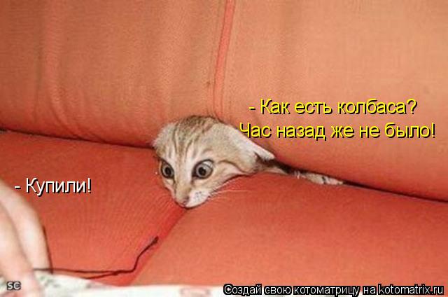 Котоматрица: - Как есть колбаса?  Час назад же не было! - Купили!