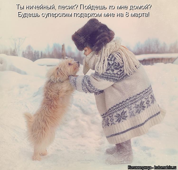 Котоматрица: Ты ничейный, песик? Пойдешь ко мне домой? Будешь суперским подарком мне на 8 марта!