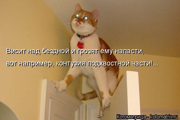 Котоматрица: Висит над бездной и грозят ему напасти, вот например, контузия подхвостной части!...