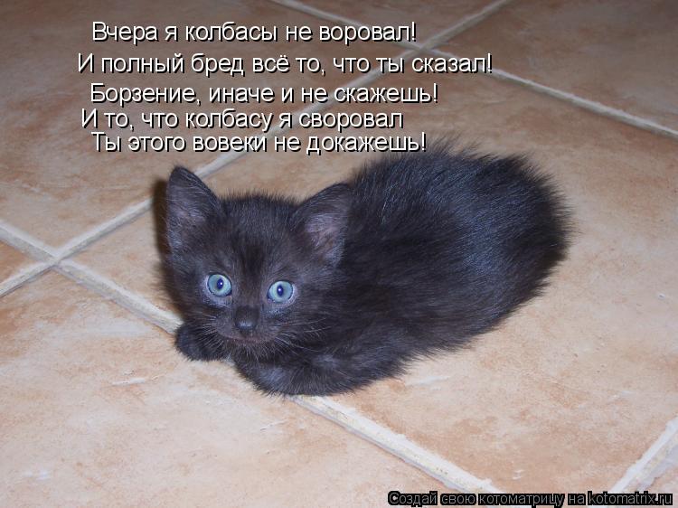 Котоматрица: Вчера я колбасы не воровал! И полный бред всё то, что ты сказал! Борзение, иначе и не скажешь! И то, что колбасу я своровал Ты этого вовеки не д