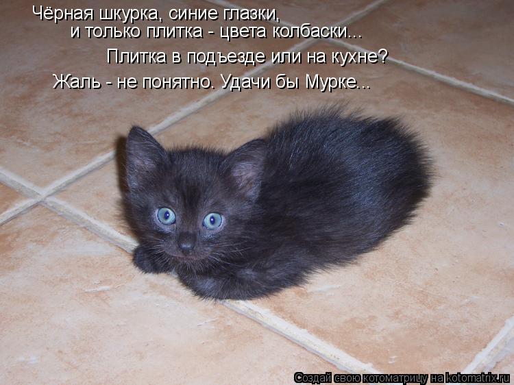 Котоматрица: Чёрная шкурка, синие глазки, и только плитка - цвета колбаски...  Плитка в подъезде или на кухне? Жаль - не понятно. Удачи бы Мурке...