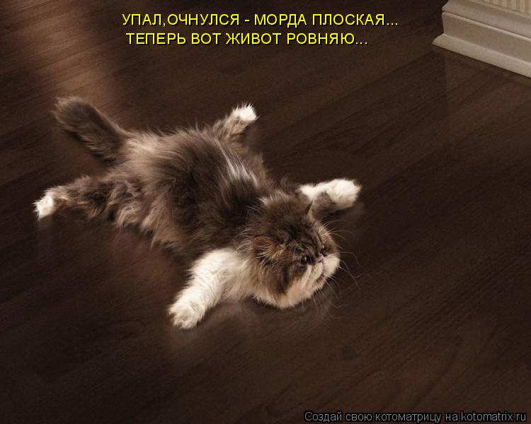 Котоматрица: УПАЛ,ОЧНУЛСЯ - МОРДА ПЛОСКАЯ... ТЕПЕРЬ ВОТ ЖИВОТ РОВНЯЮ...