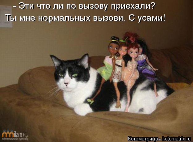 Котоматрица: - Эти что ли по вызову приехали? Ты мне нормальных вызови. С усами!