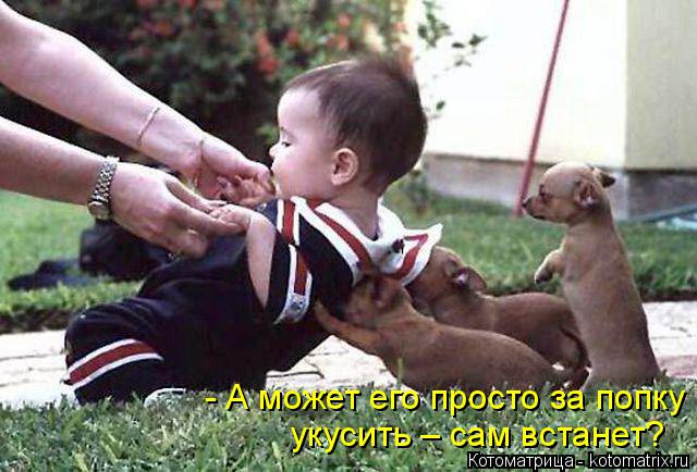 Котоматрица: - А может его просто за попку укусить – сам встанет?