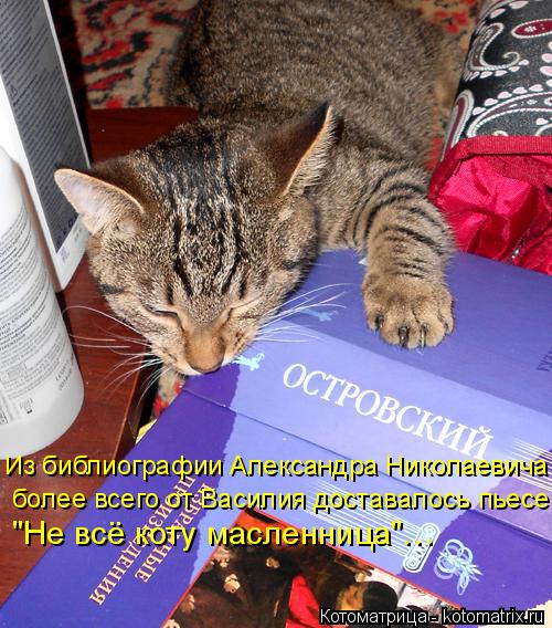 Котоматрица: более всего от Василия доставалось пьесе Из библиографии Александра Николаевича "Не всё коту масленница"…
