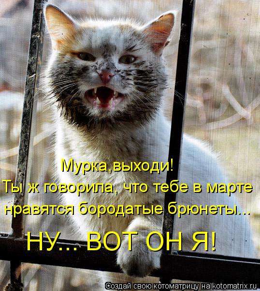 Котоматрица: Мурка,выходи! Ты ж говорила, что тебе в марте нравятся бородатые брюнеты... НУ... ВОТ ОН Я!