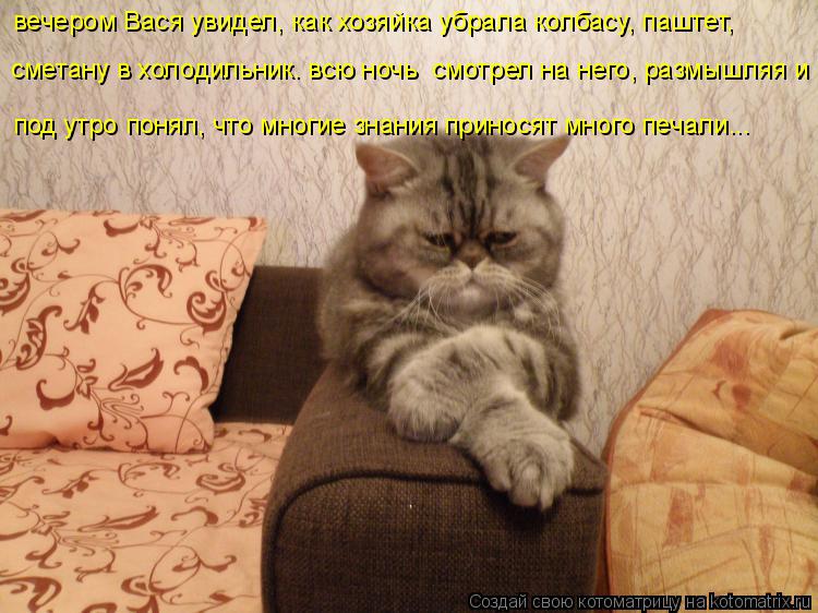 Котоматрица: вечером Вася увидел, как хозяйка убрала колбасу, паштет, сметану в холодильник. всю ночь  смотрел на него, размышляя и под утро понял, что мно