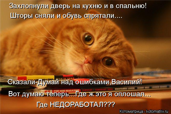 Котоматрица: Захлопнули дверь на кухню и в спальню! Шторы сняли и обувь спрятали.... Сказали-Думай над ошибками,Василий! Вот думаю теперь...Где ж это я опло