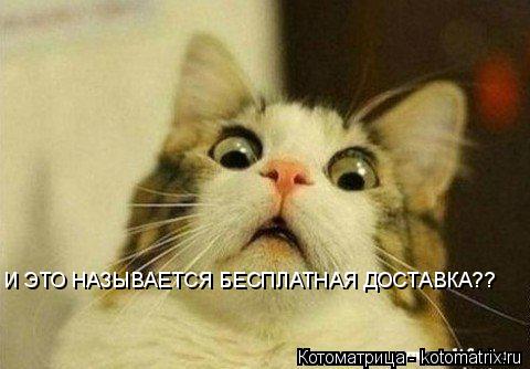 Котоматрица: И ЭТО НАЗЫВАЕТСЯ БЕСПЛАТНАЯ ДОСТАВКА??