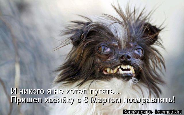 Пришел хозяйку с 8 Мартом поздравлять! И никого я не хотел пугать...... Котоматрица: Пришел хозяйку с 8 Мартом поздравлять! И никого я не хотел пугать...