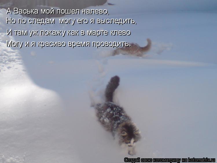как выследить по следам гласила, что