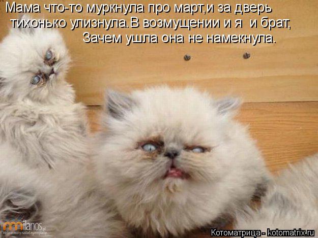 Котоматрица: тихонько улизнула.В возмущении и я  и брат, Зачем ушла она не намекнула. Мама что-то муркнула про март,и за дверь