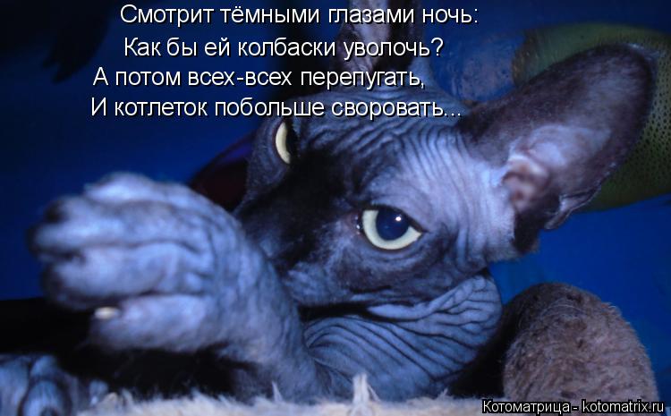 Котоматрица: Смотрит тёмными глазами ночь: Как бы ей колбаски уволочь? А потом всех-всех перепугать, И котлеток побольше своровать...