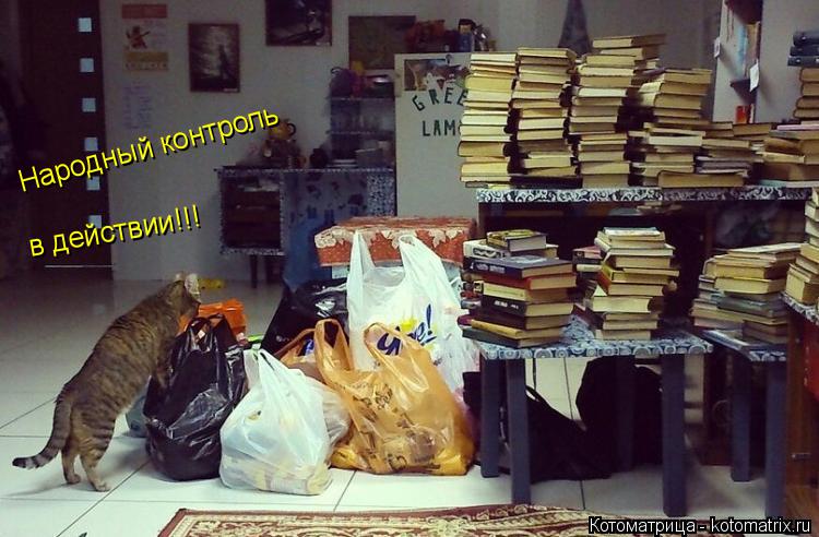 в действии!!! Народный контроль... Котоматрица: в действии!!! Народный контроль