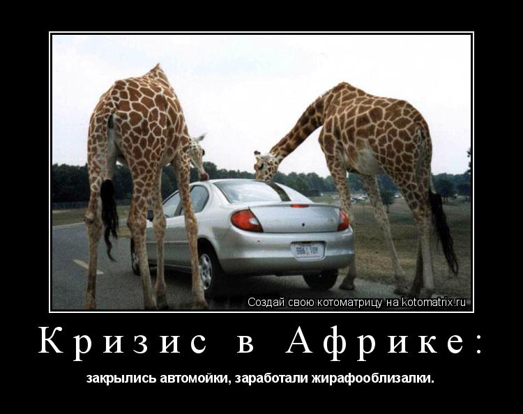 Котоматрица: Кризис в Африке: закрылись автомойки, заработали жирафооблизалки.