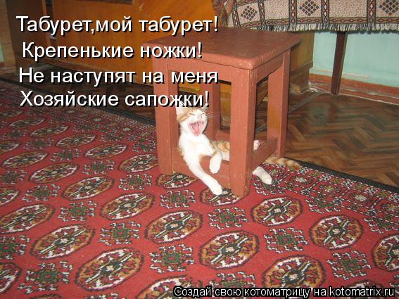 Котоматрица: Табурет,мой табурет! Крепенькие ножки! Хозяйские сапожки! Не наступят на меня