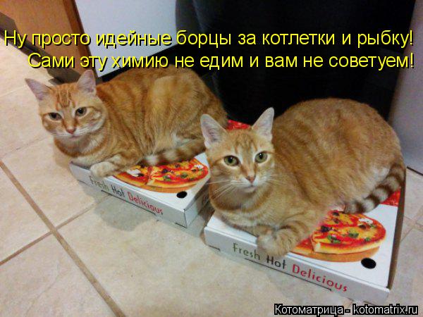 Котоматрица: Ну просто идейные борцы за котлетки и рыбку! Сами эту химию не едим и вам не советуем!