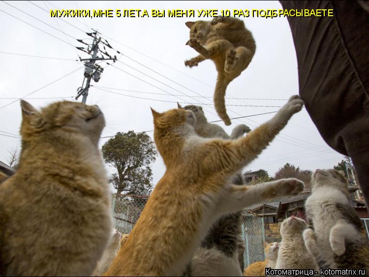 Котоматрица: МУЖИКИ,МНЕ 5 ЛЕТ.А ВЫ МЕНЯ УЖЕ 10 РАЗ ПОДБРАСЫВАЕТЕ