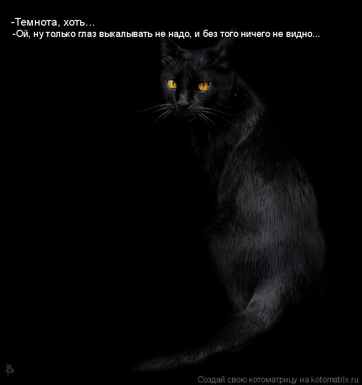 Котоматрица: -Ой, ну только глаз выкалывать не надо, и без того ничего не видно... -Темнота, хоть...