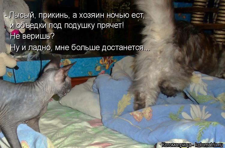 - Лысый, прикинь, а хозяин ночью ест, и объедки под подушку прячет! Не веришь? Ну и ладно, мне бол... Котоматрица: - Лысый, прикинь, а хозяин ночью ест, и объедки под подушку прячет! Не веришь? Ну и ладно, мне больше достанется...