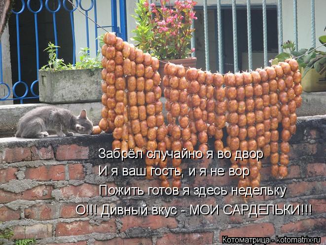 Котоматрица: Забрёл случайно я во двор И я ваш гость, и я не вор Пожить готов я здесь недельку О!!! Дивный вкус - МОИ САРДЕЛЬКИ!!!