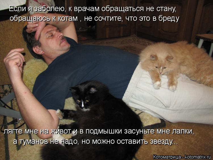 Котоматрица: Если я заболею, к врачам обращаться не стану, обращаюсь к котам , не сочтите, что это в бреду лягте мне на живот и в подмышки засуньте мне лапк