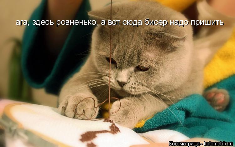 Котоматрица: ага, здесь ровненько, а вот сюда бисер надо пришить