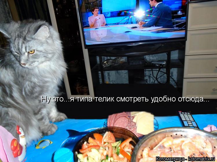Котоматрица: Ну это...я типа телик смотреть удобно отсюда...